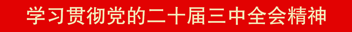 学习贯彻党的二十届三中全会精神