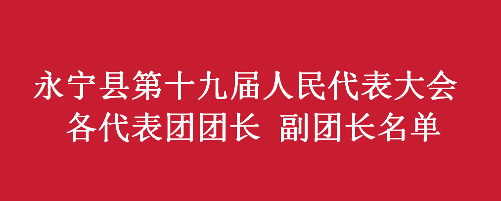 永宁县第十九届人民代表大会第四次会议 各代表团团长 副团长名单